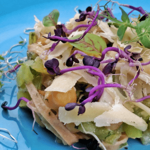 insalata di alghe pappatilavita cucina vegana